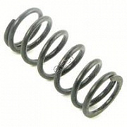 BT4 (66) Internal Valve Spring 