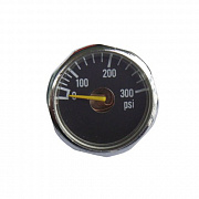 PE Micro Gauge 300 psi